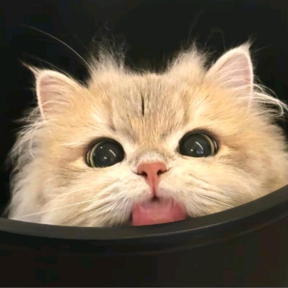 你微笑的时候很丑