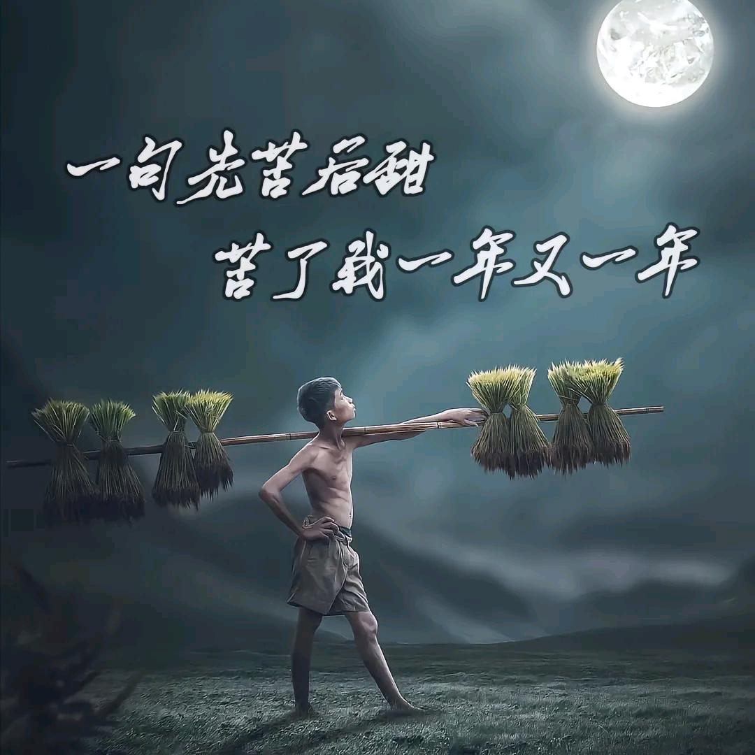 🇨🇳林……🎶