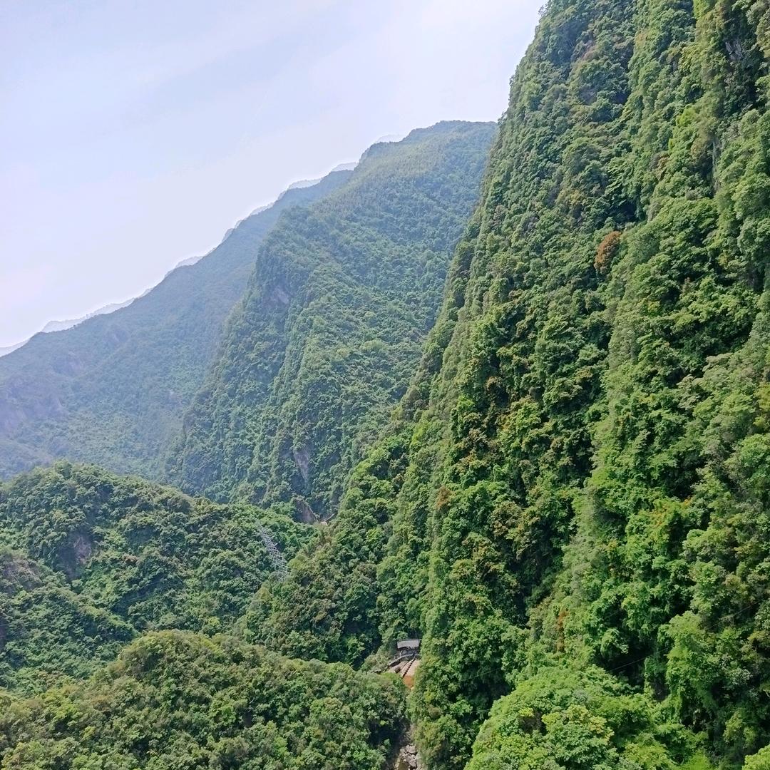 梦雅