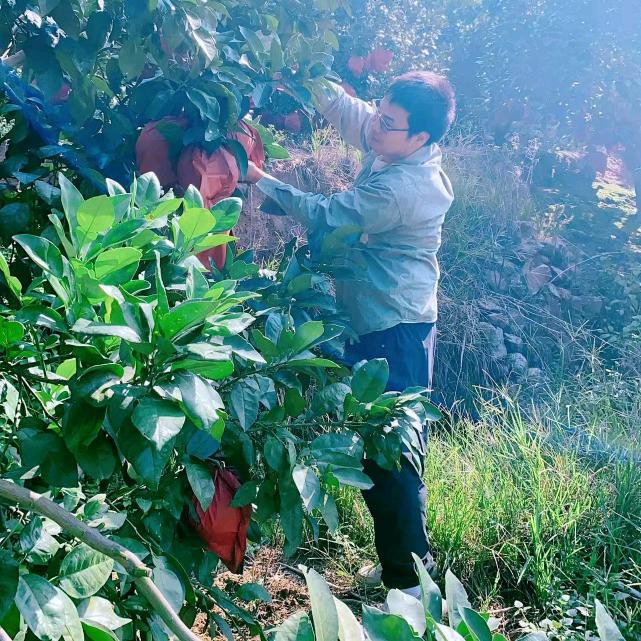 泉哥广丰特产店