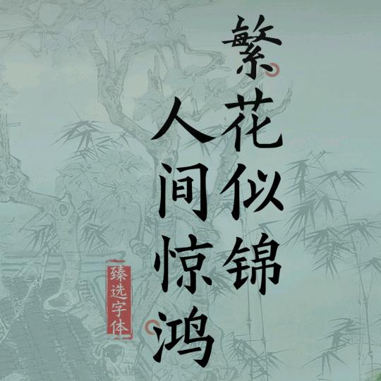 嗨，我来了