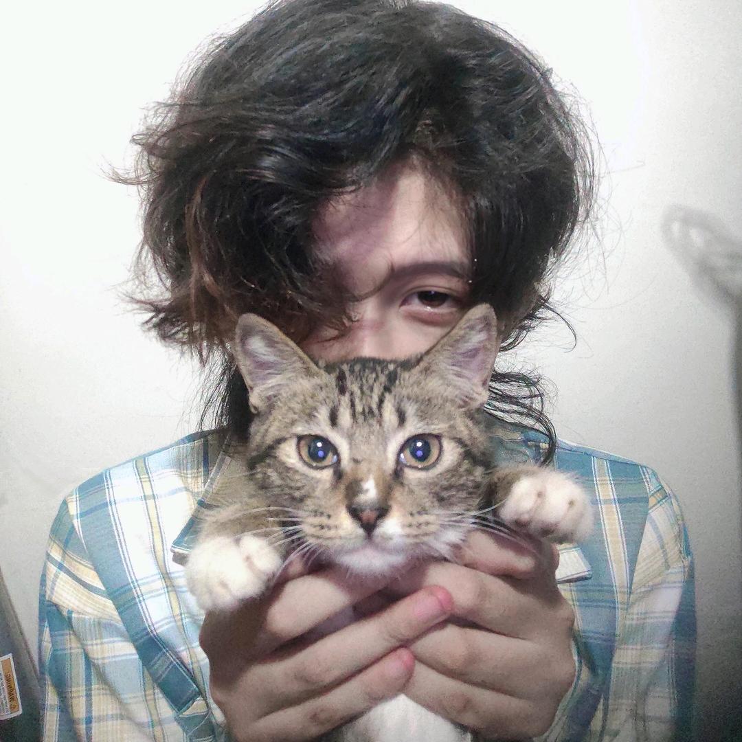 猫先生的猫