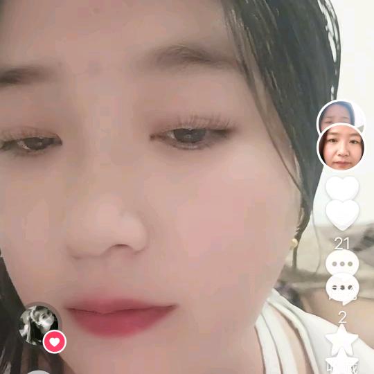 段学美