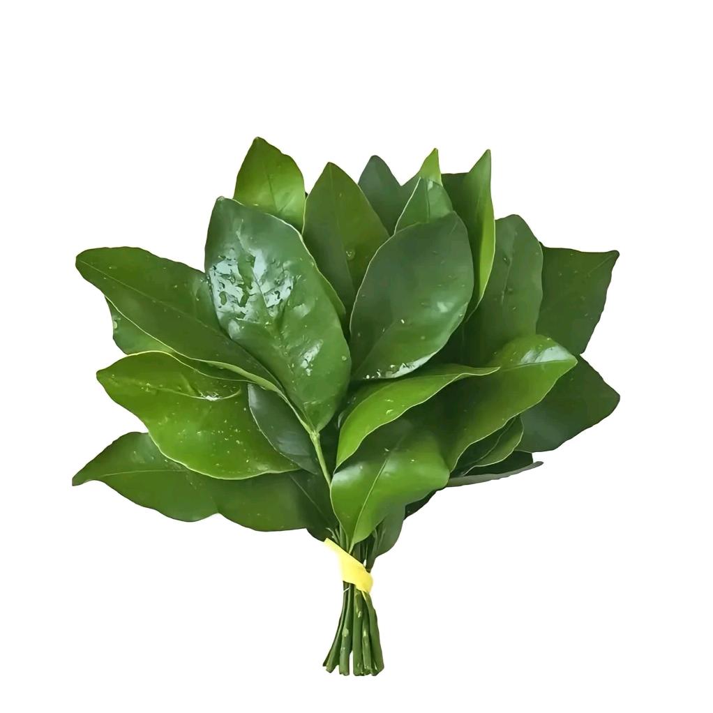 红烧鱼