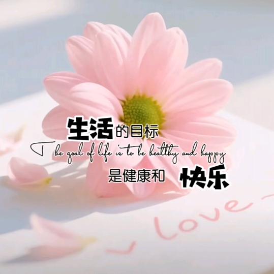 愛媛