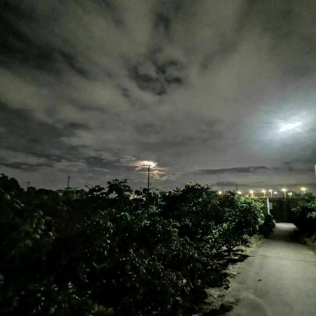 坝坝