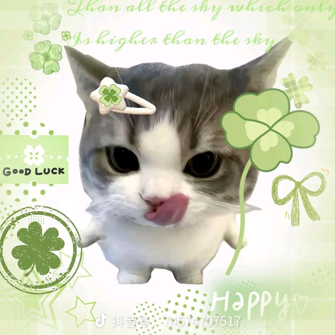 四叶草🍀🍀🍀