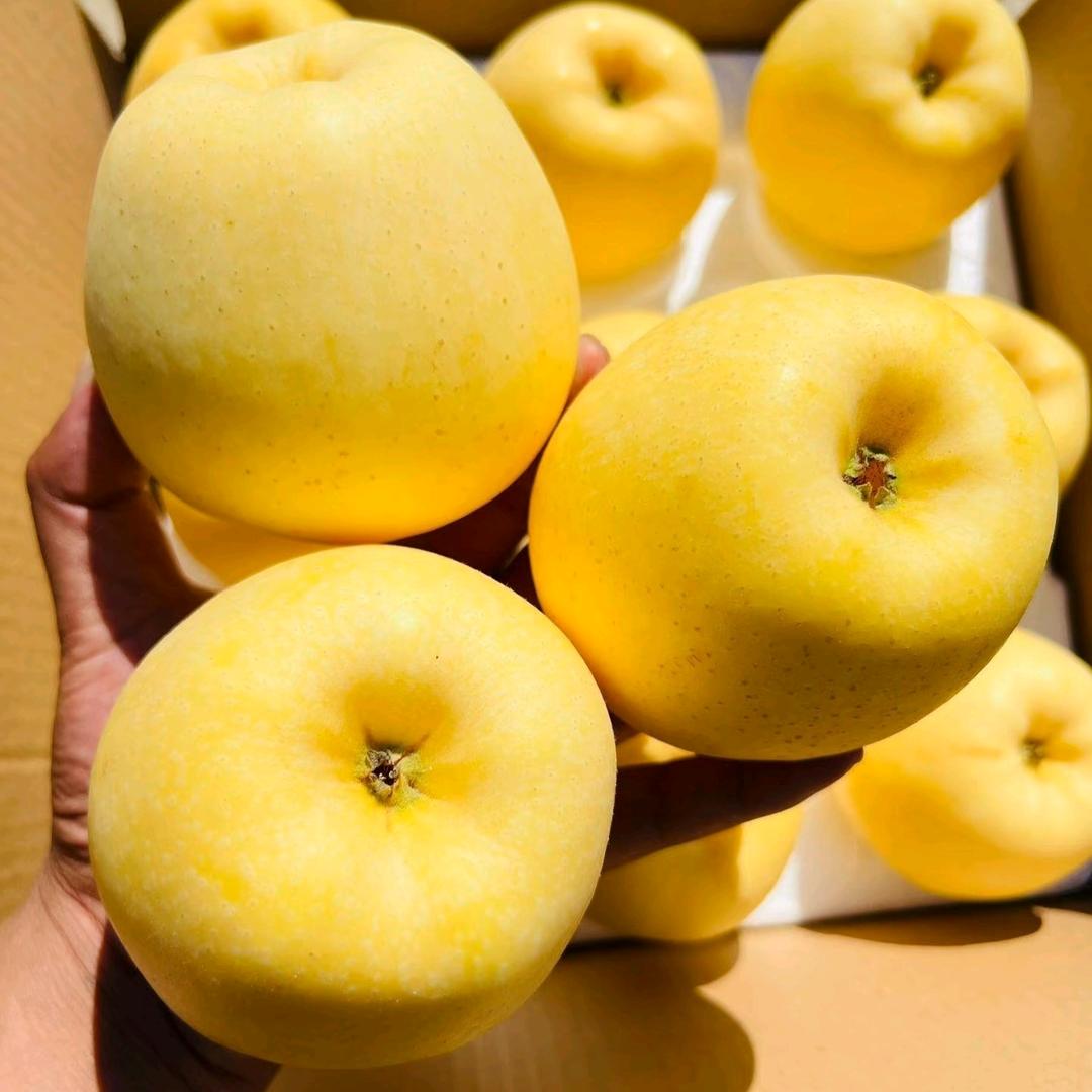 小阿洁—黄金维纳斯苹果纯甜