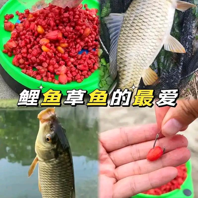独钓寒江