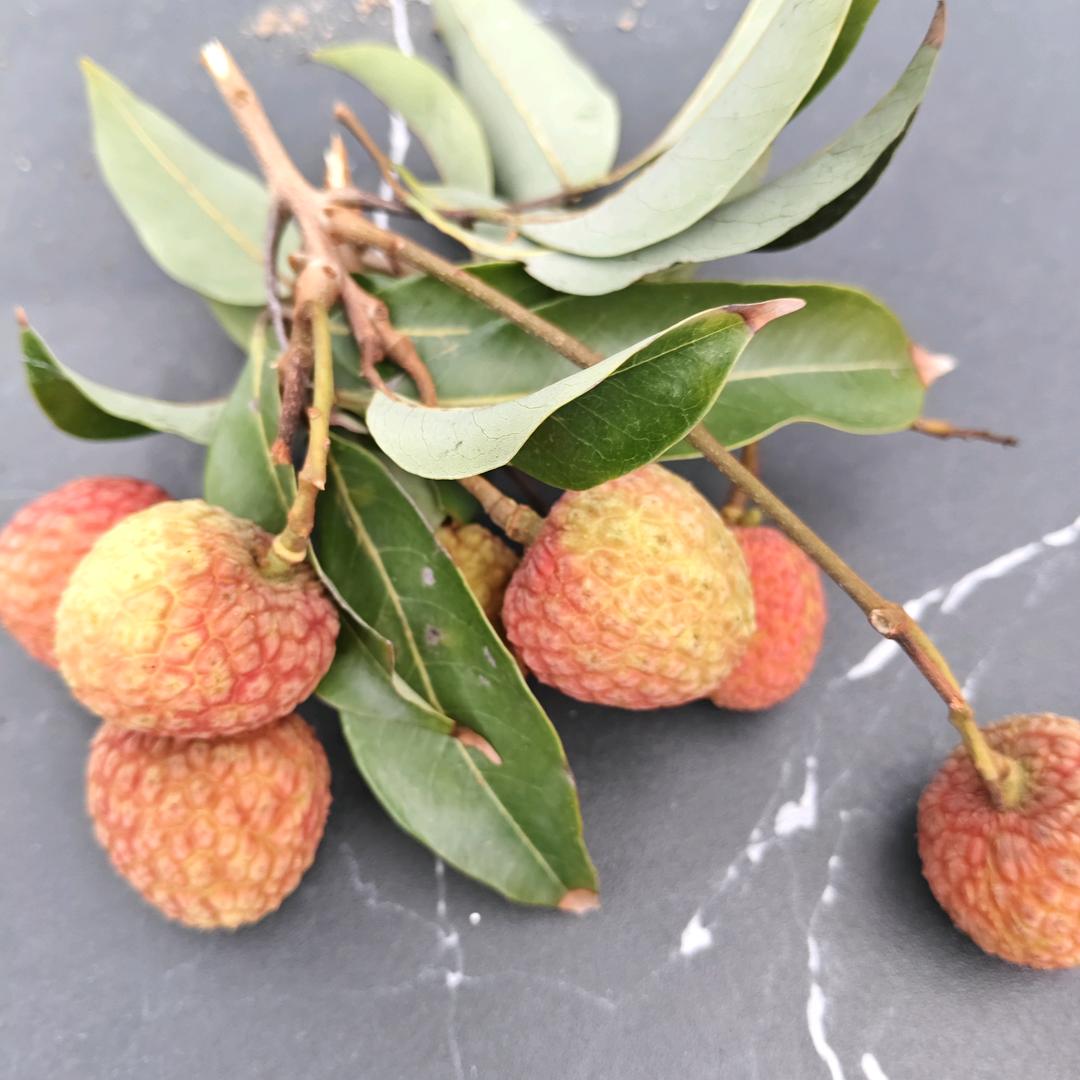 颈椎腰椎特效药