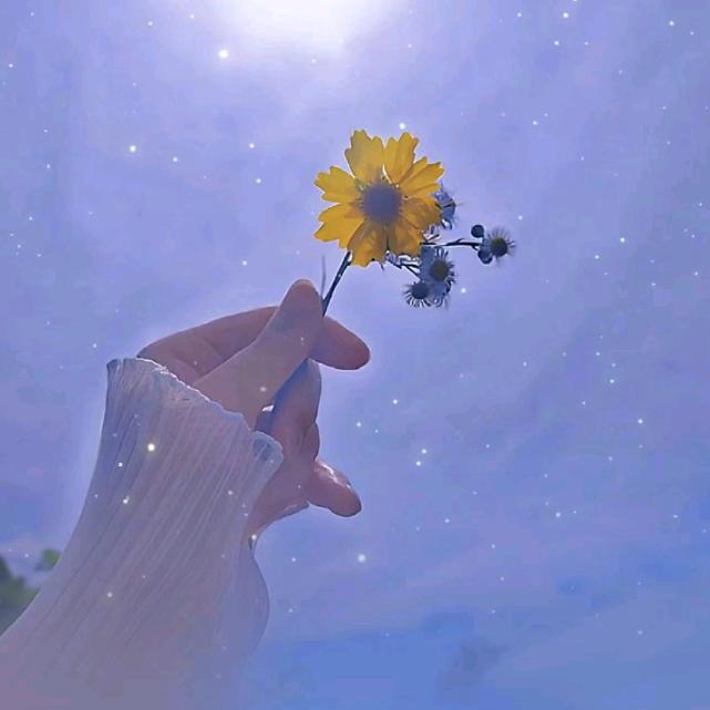 ༊ღ᭄封心锁爱
