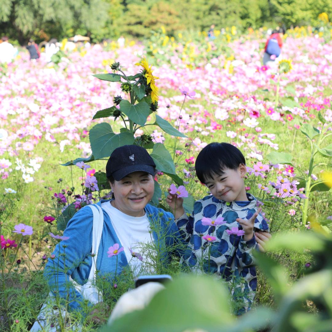 初见（拒私聊）