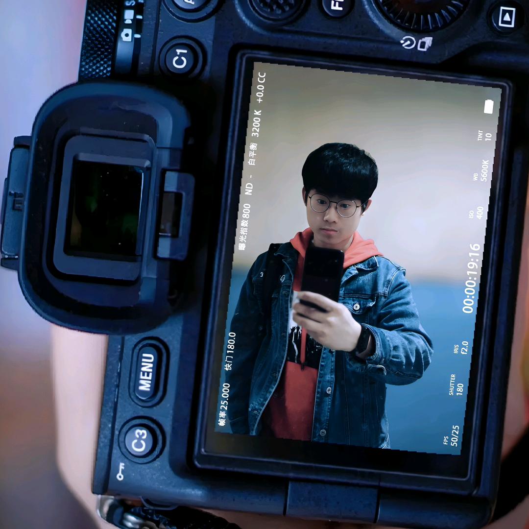 回忆是犬 追咬多年