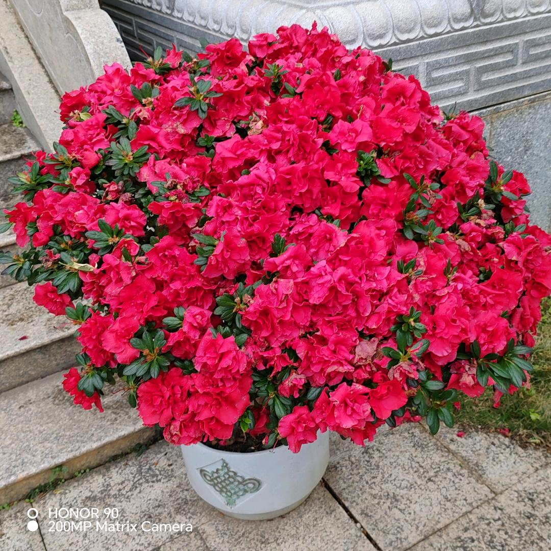 🐴 让钱找我🐴