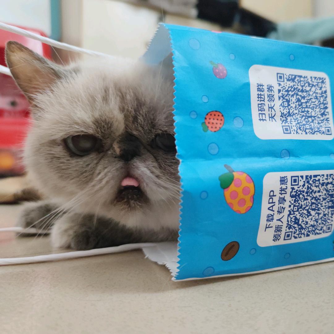 渐渐地冬至