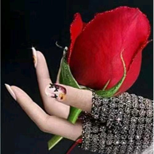 🚬ᥫᦸᐝ杯中烈酒❃⃕敬余生དྷ༗࿐