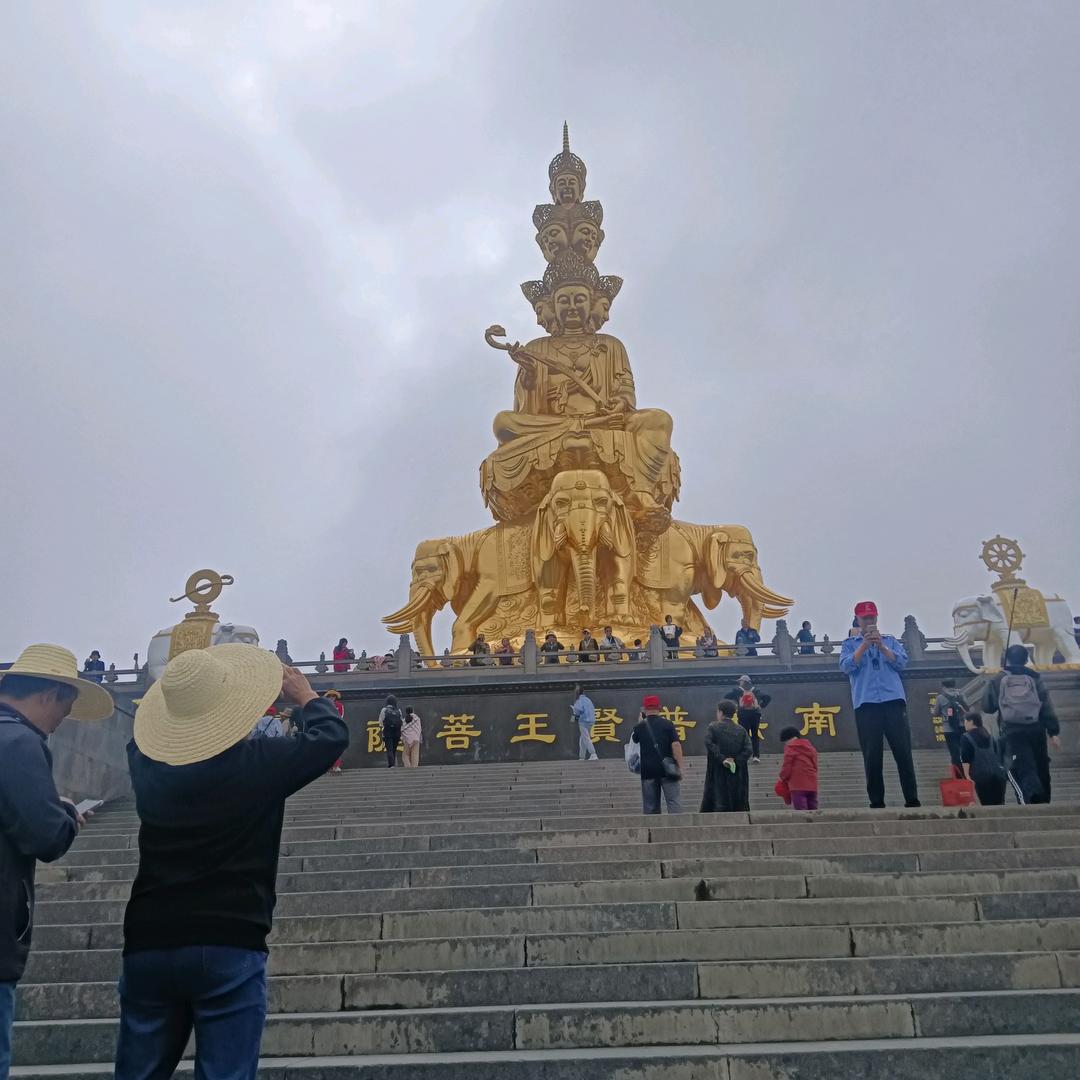 自由人（放下执念，重新开始）