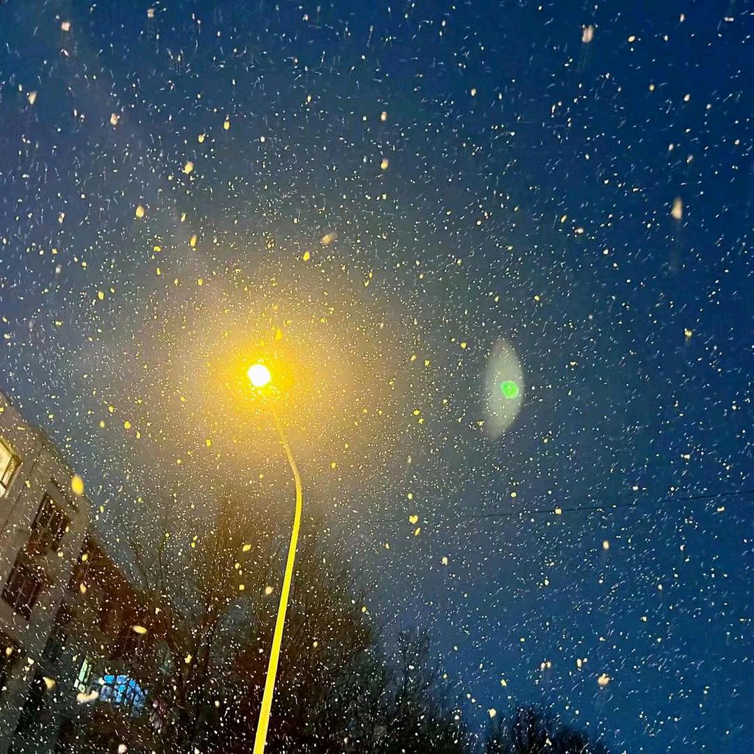 “”空白Yuq"“”