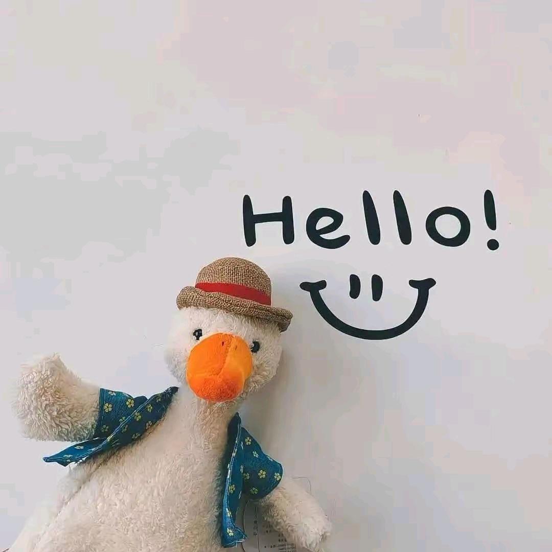 ﹎ 熊猫゛ | ﹎ 讓時間說真話