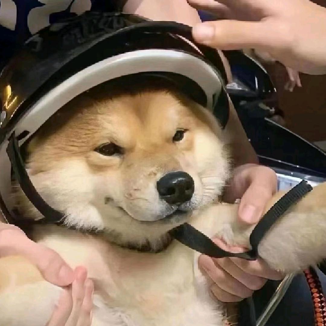 褚了个邙（三角洲行动）