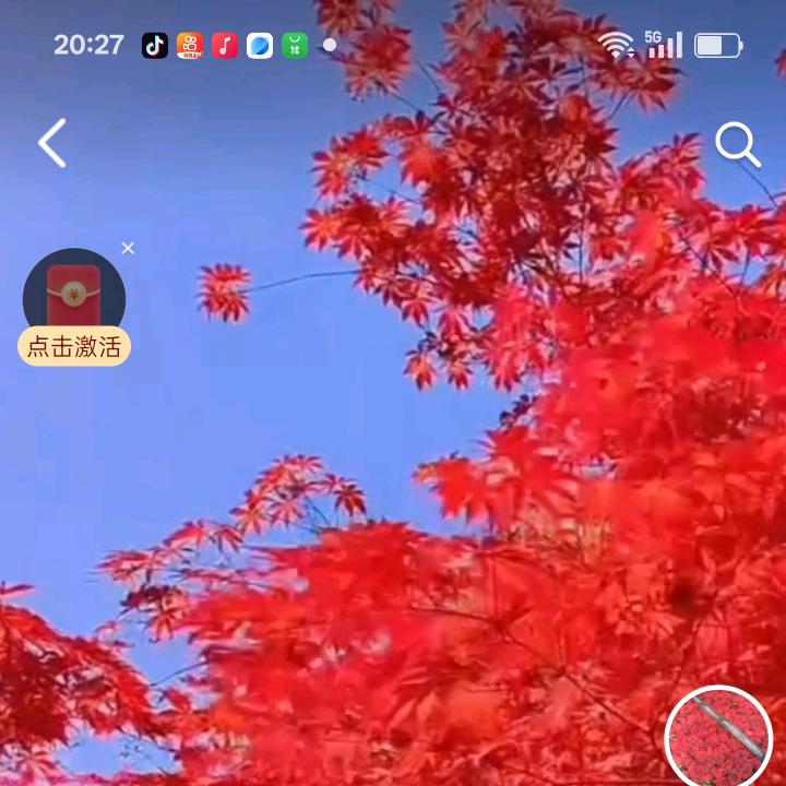 春夏秋冬🌹🌹