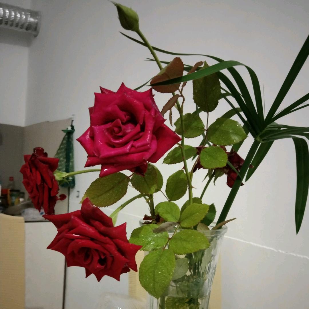 心情好