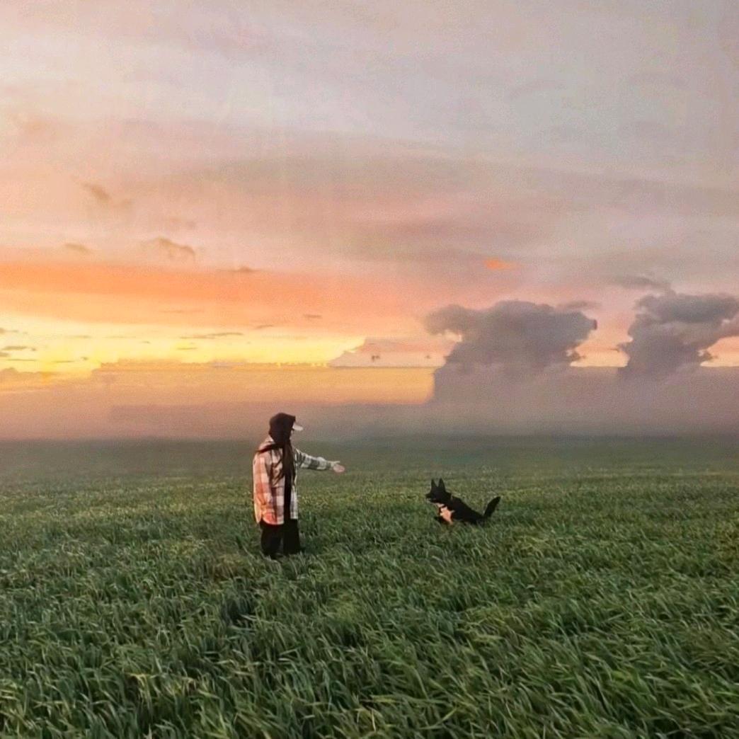 都选C🎈