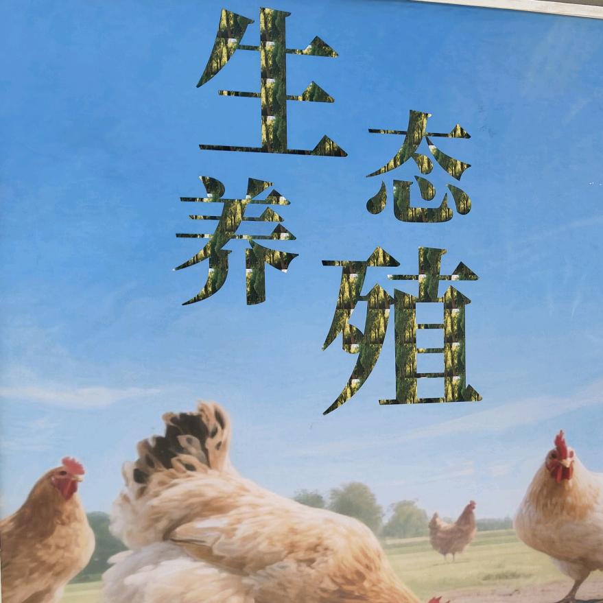 濮阳星禾养殖
