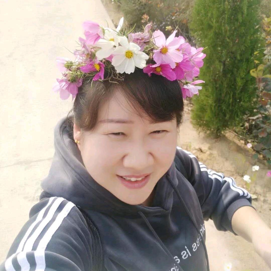 卖家电的胖姐姐(互加)