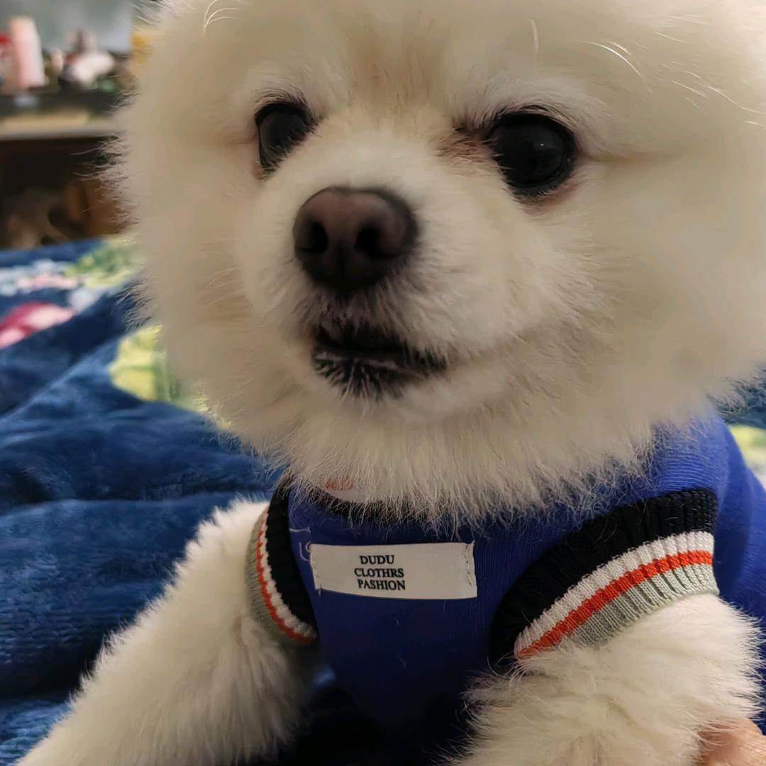 陌忘523