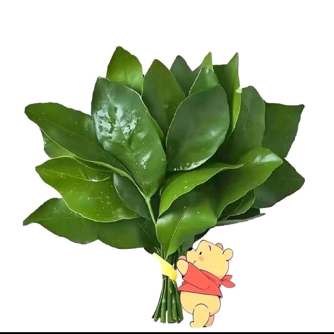 降橘色的日落