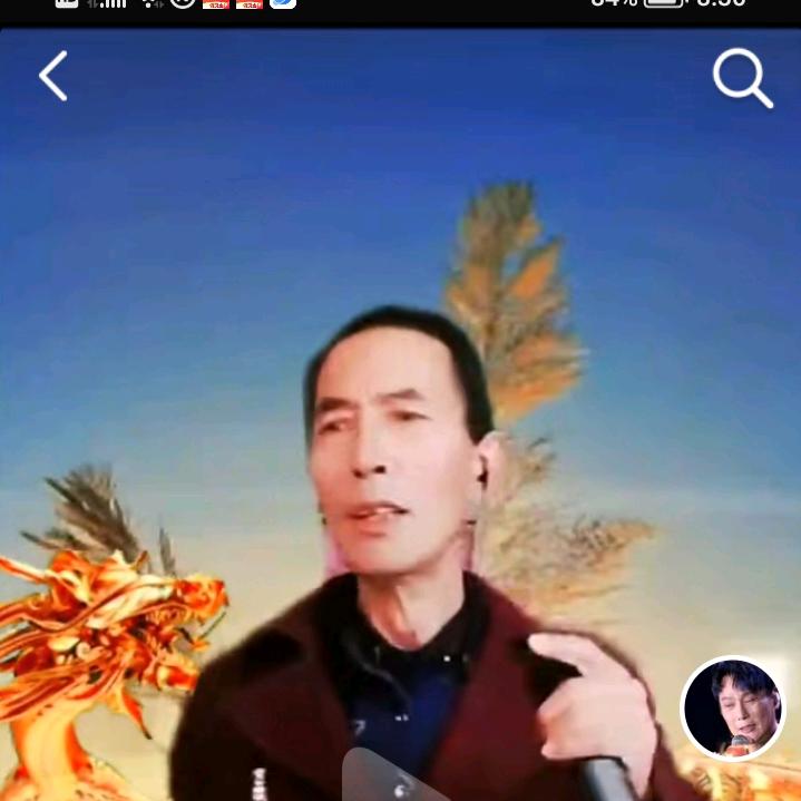 阳光闪耀