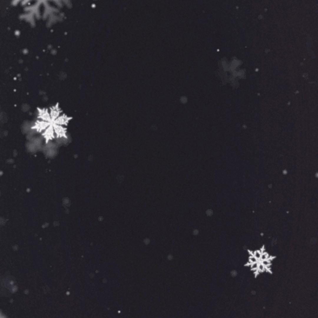 失之东隅 收之桑榆