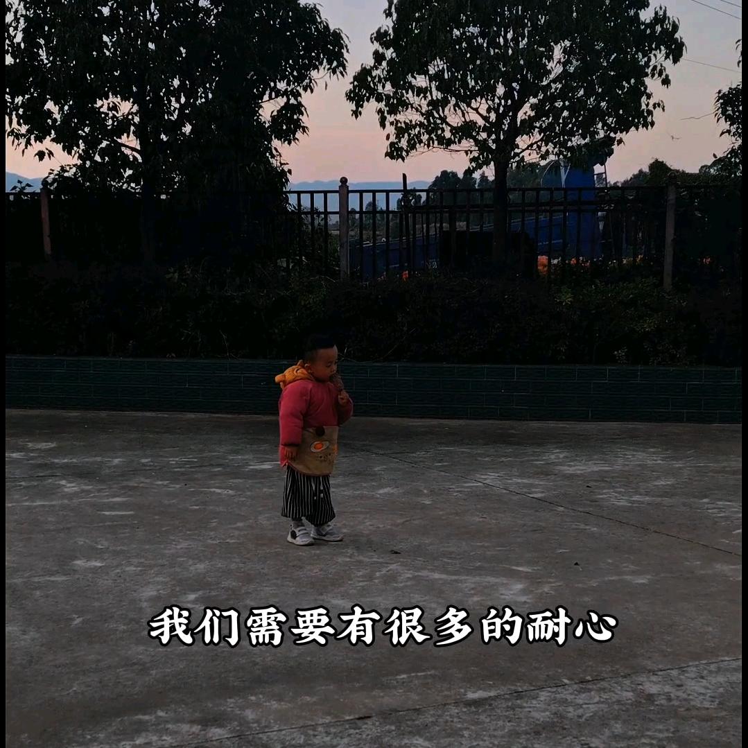 细雨小闲花（努力中）