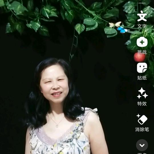 琴宝