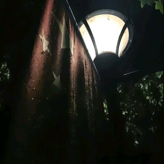 不负如来不负卿丶