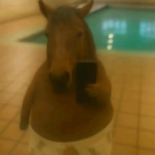 你让让我怎么了