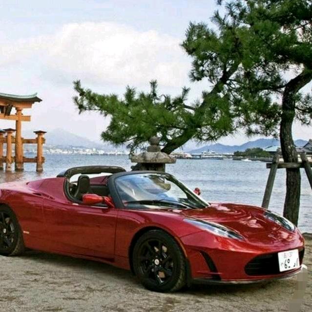 🦋青松傲雪🦋