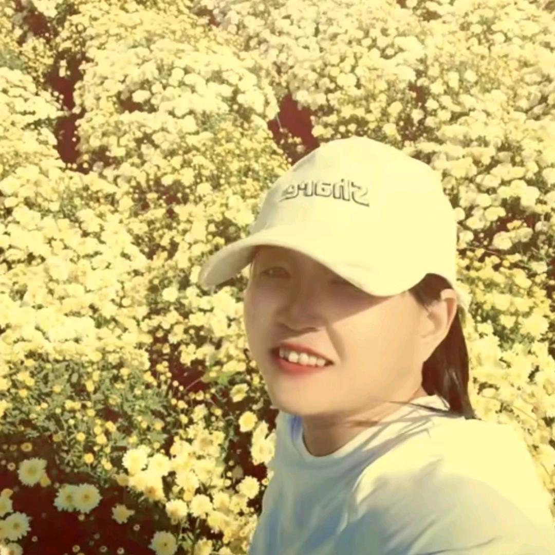 盛禾家庭农场菊花种植，技术，销售菊花茶