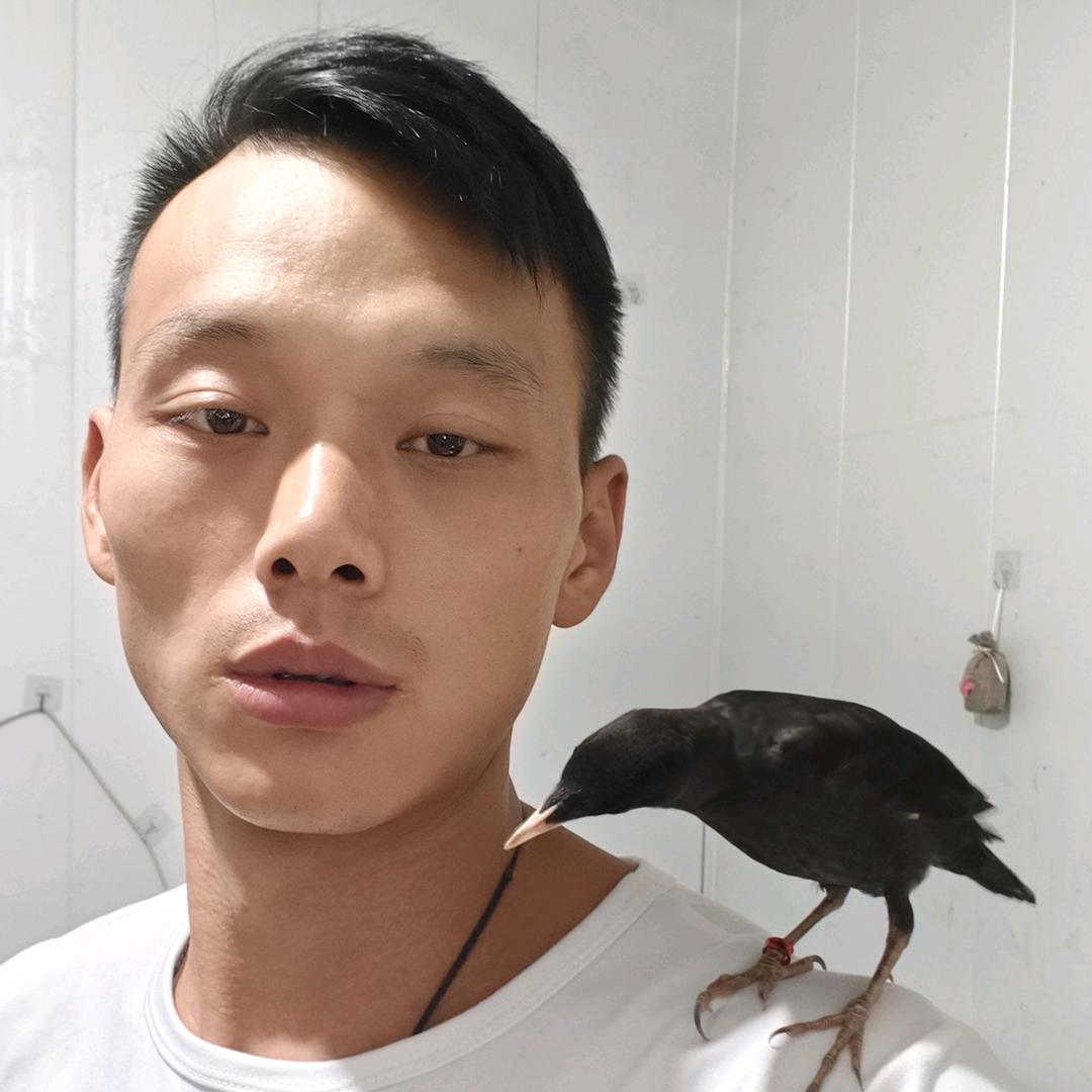 琪琪哥