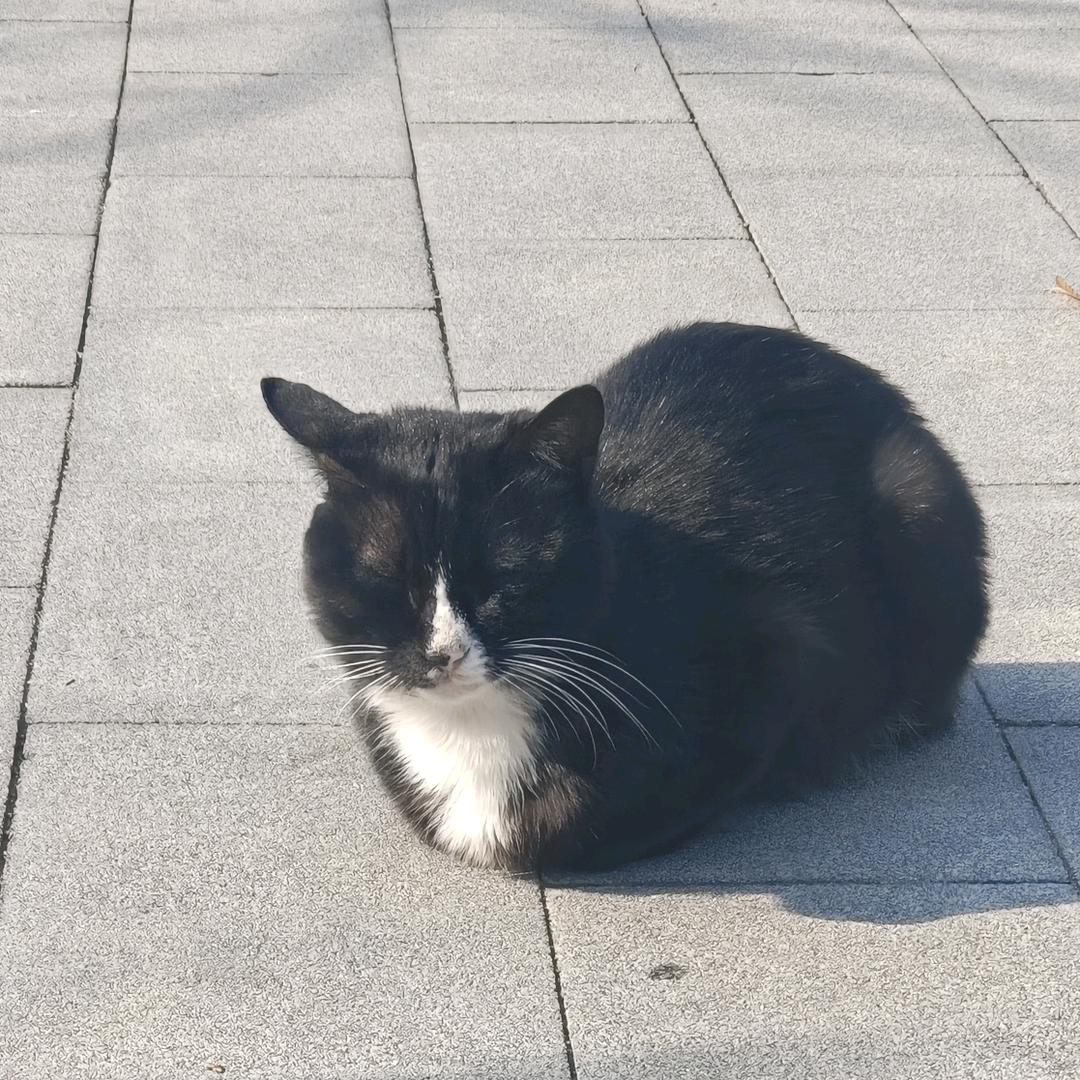不想起名