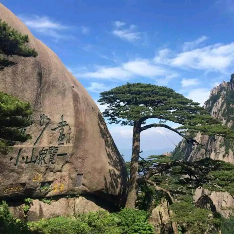 鹤影松涛