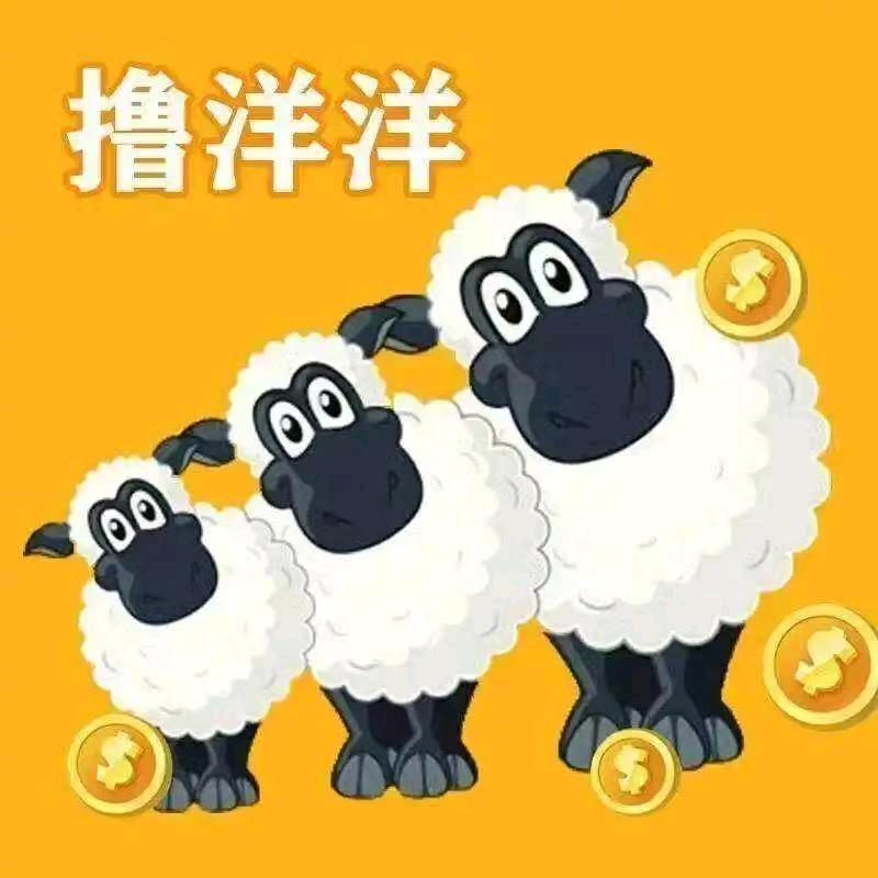 凯文沙微vivi羊羊