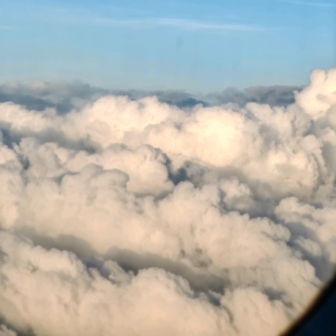 雪花飘飘何所似