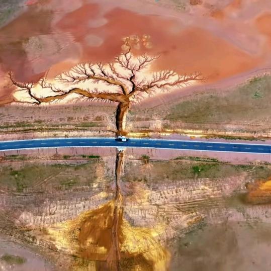 且停且忘且随风