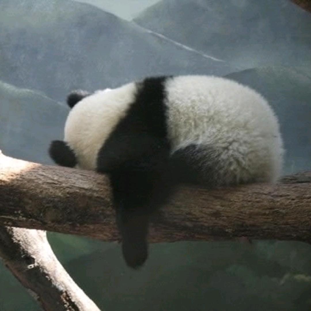 杨杨杨杨杨杨杨杨杨杨