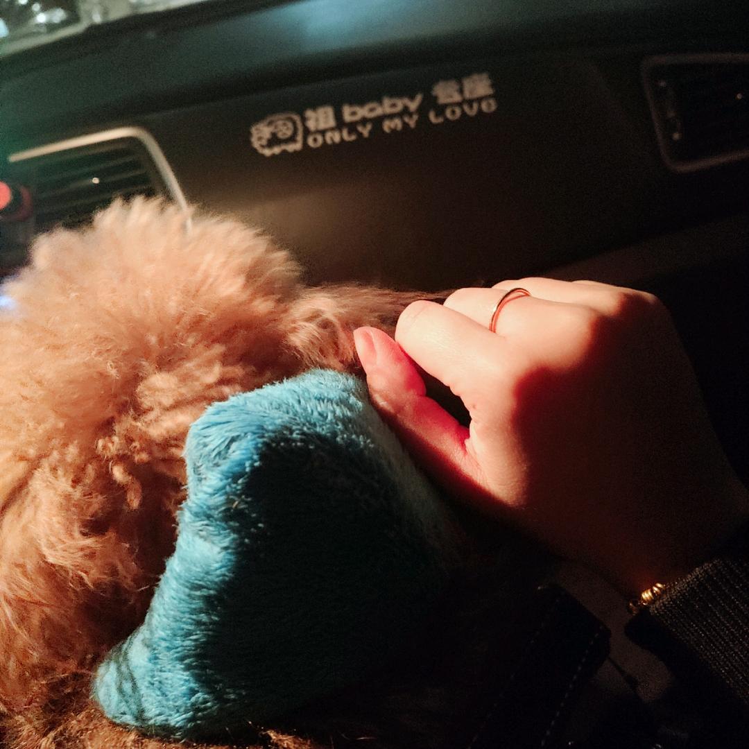 🌈吹吹人间发财风