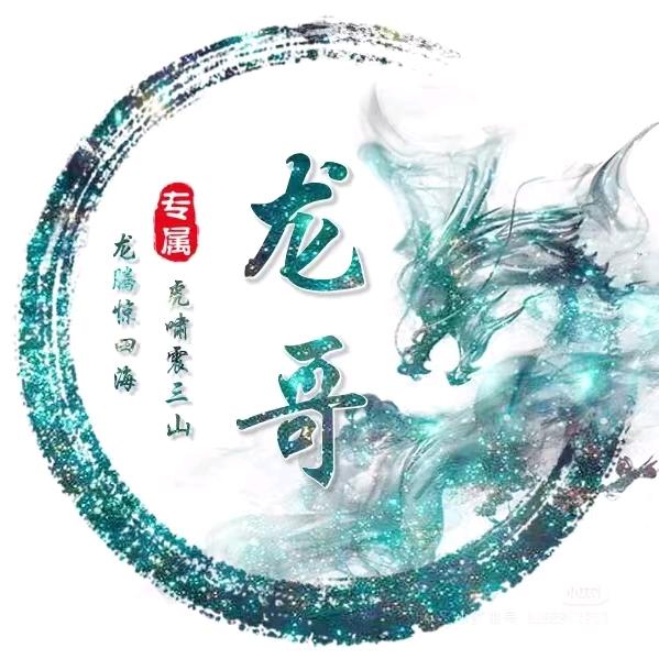 龙哥讲解短视频