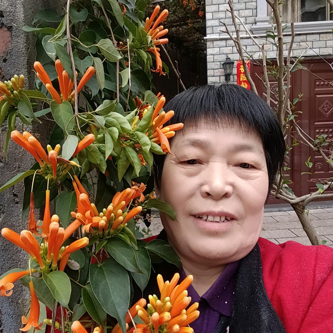 我是尘土