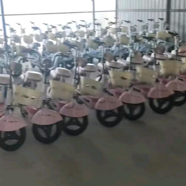 嘉玮库存电动车